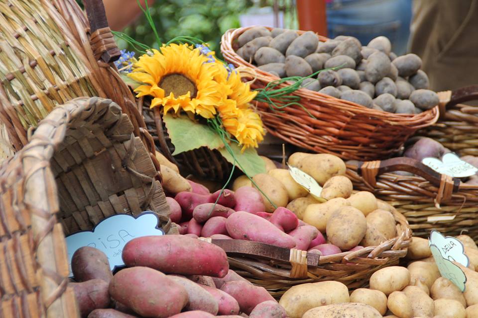 ceste-patate