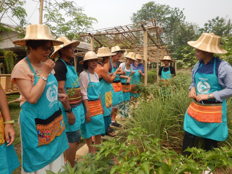 cyclolenti-thailandia