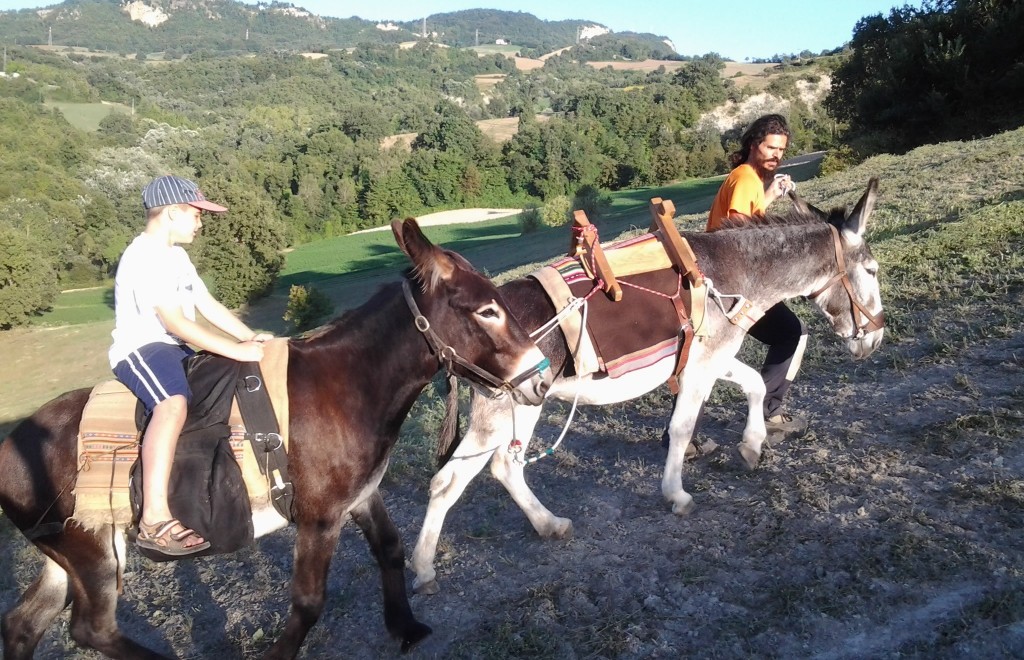 #viaggiareispirati 20: Trekking con gli asini, per conoscerli e rispettarli