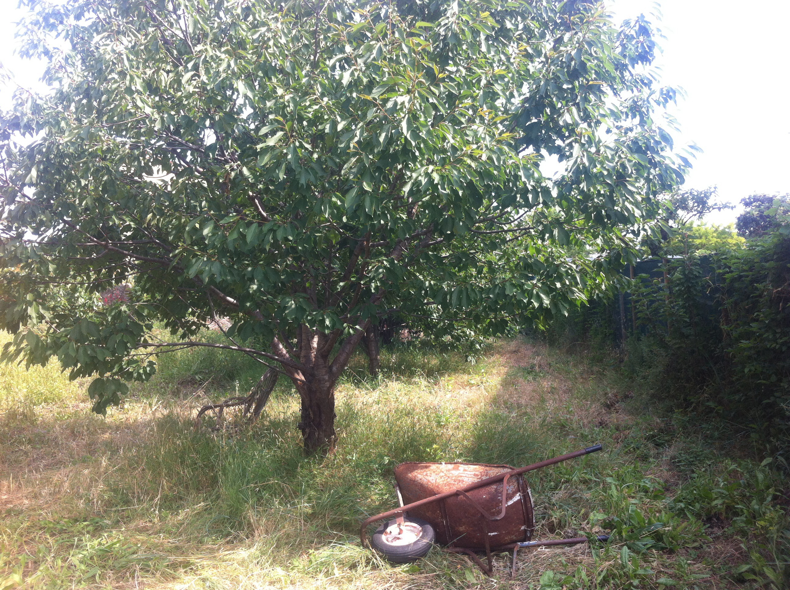 image(2)