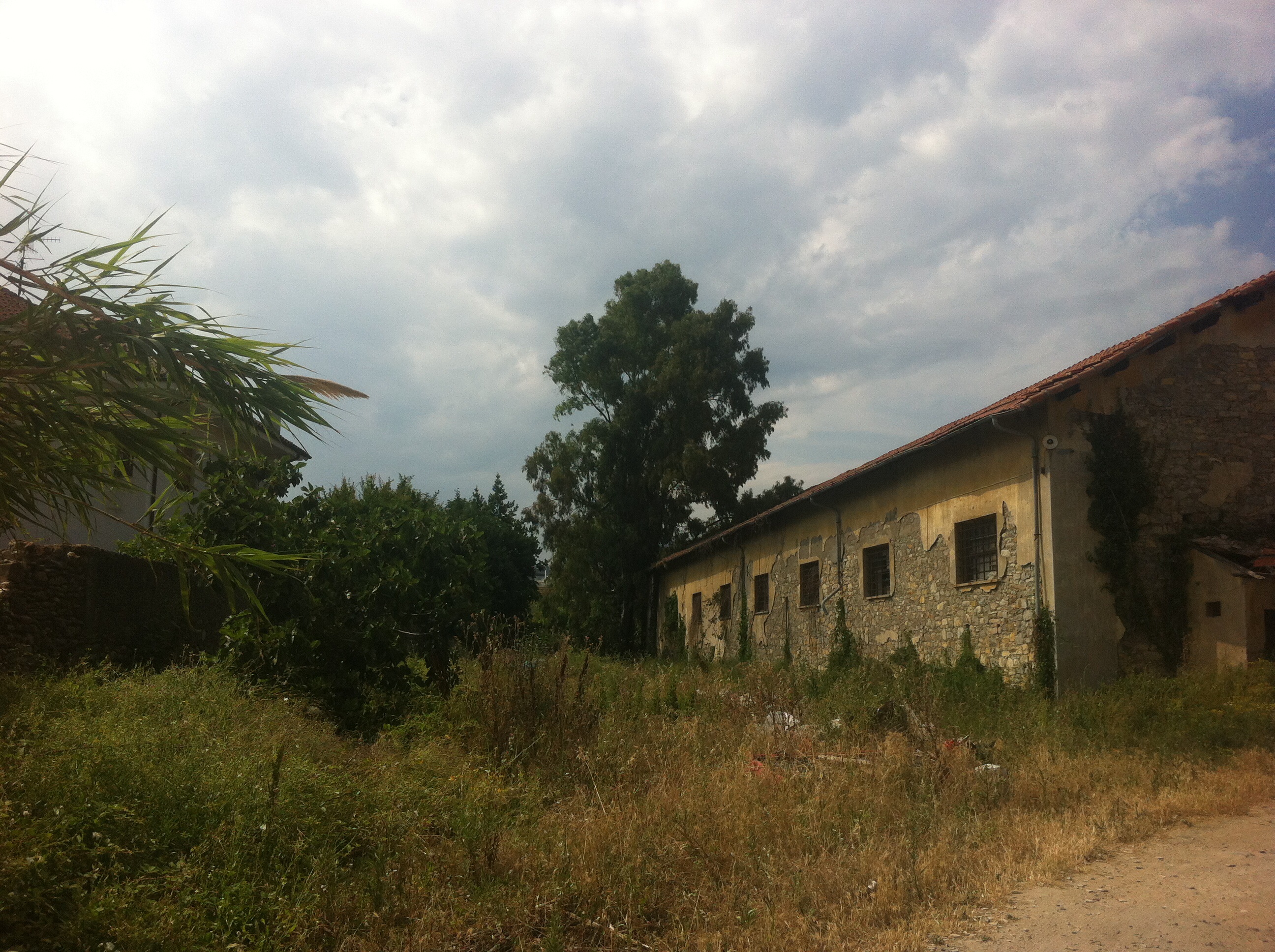image(3)