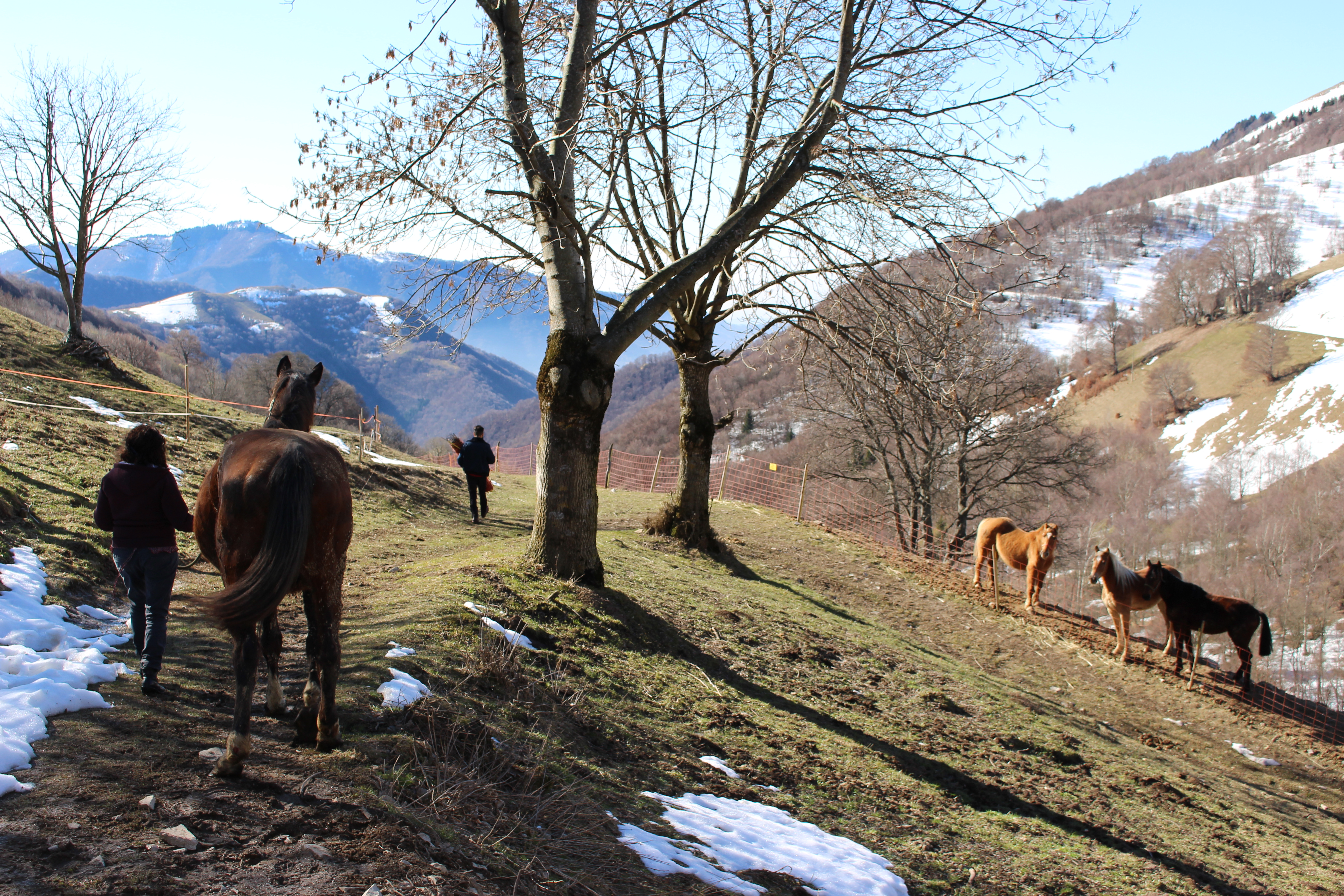 Alpeggio estivo di Orimento