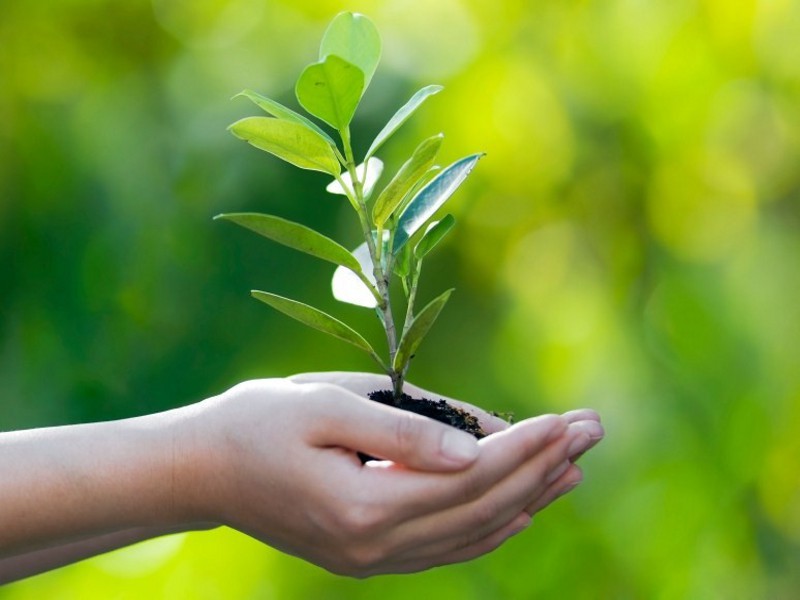 #Visione 2040 – Ambiente: uscire dalla cultura antropocentrica, verso il consumo di suolo zero