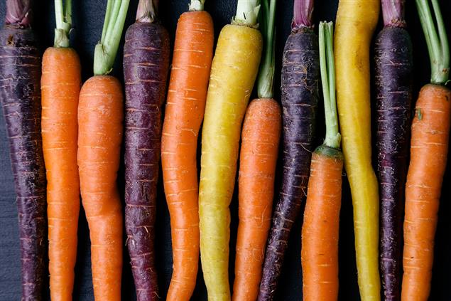 Feeding-Children-a-Vegetarian-Diet