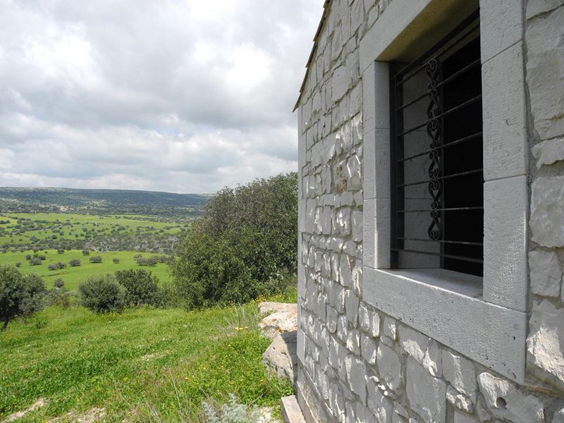 Ragusa: nasce un centro per la ricerca scientifica senza animali
