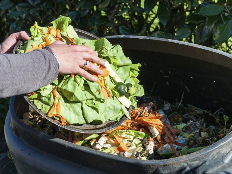 Spreco alimentare: cosa prevede la nuova legge?