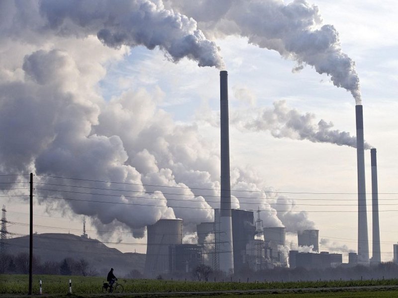 WWF: “Eliminare il carbone salva la vita”