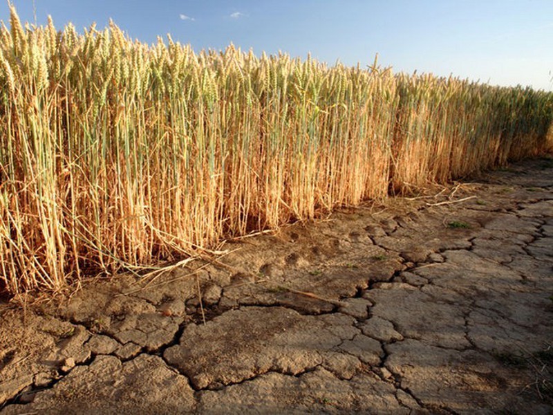 Clima: l’accordo di Parigi supera la prima prova alla Cop22