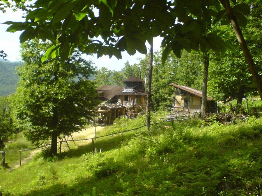popolo-degli-elfi