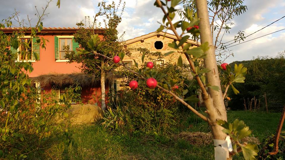 Gli insegnamenti di Berrino nella cucina domestica