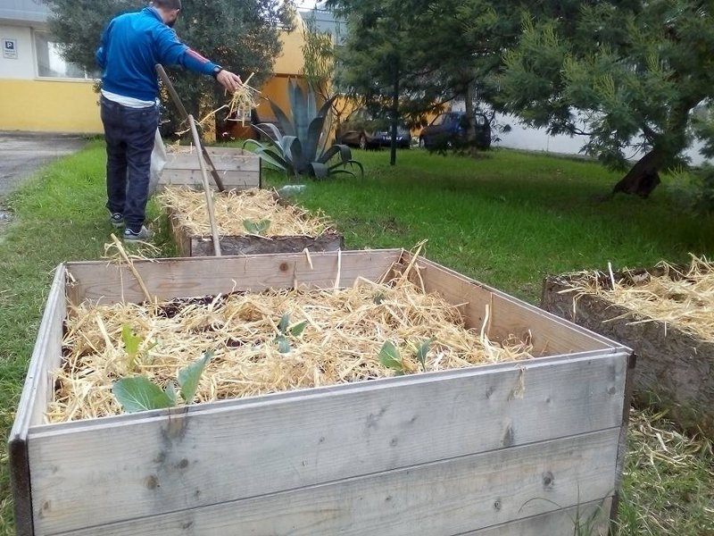 Agricultura: “così recuperiamo gli orti scolastici abbandonati”