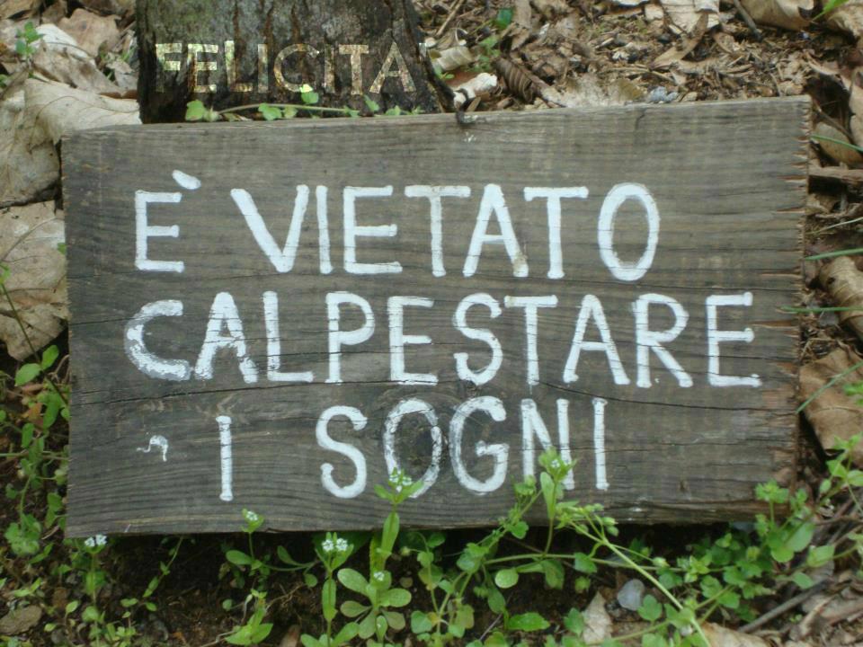 condivisione2