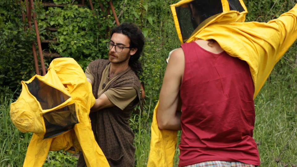 “Il tempo delle api”, un documentario sull'apicoltura naturale in Italia
