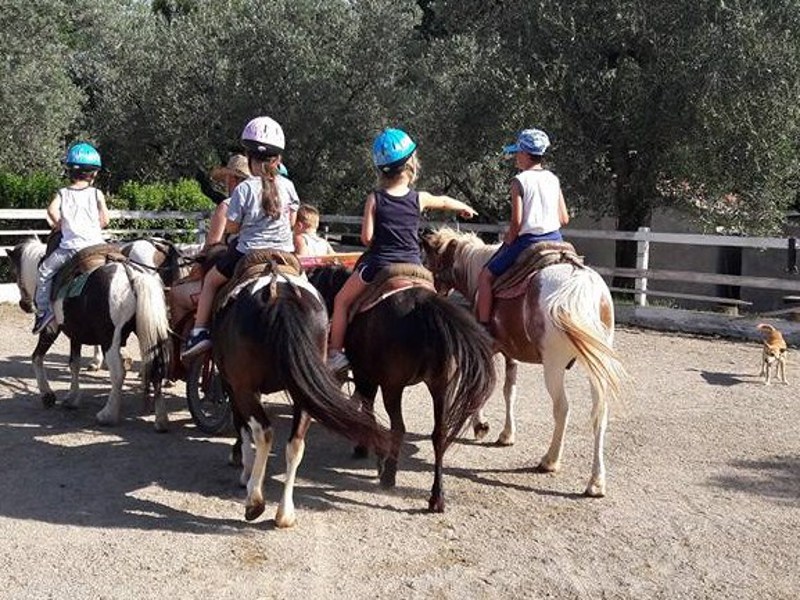 Giostra14