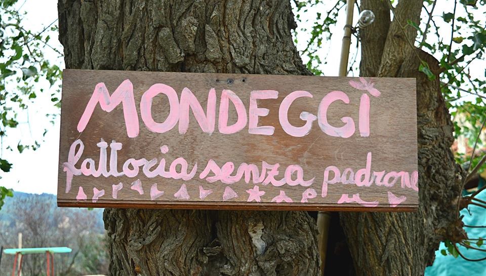 radici6