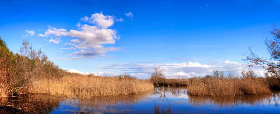 il Centro Habitat Mediterraneo della Lipu - Foto di Marco De Silvi