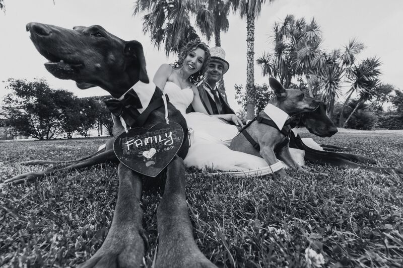 Ilaria e Diego con i loro cani Zagor, Togo e Gino (Foto di www.weddingdogsitter.com (riproduzione riservata)