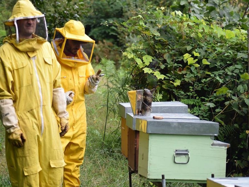3BEE: un’arnia tecnologica per salvare le api