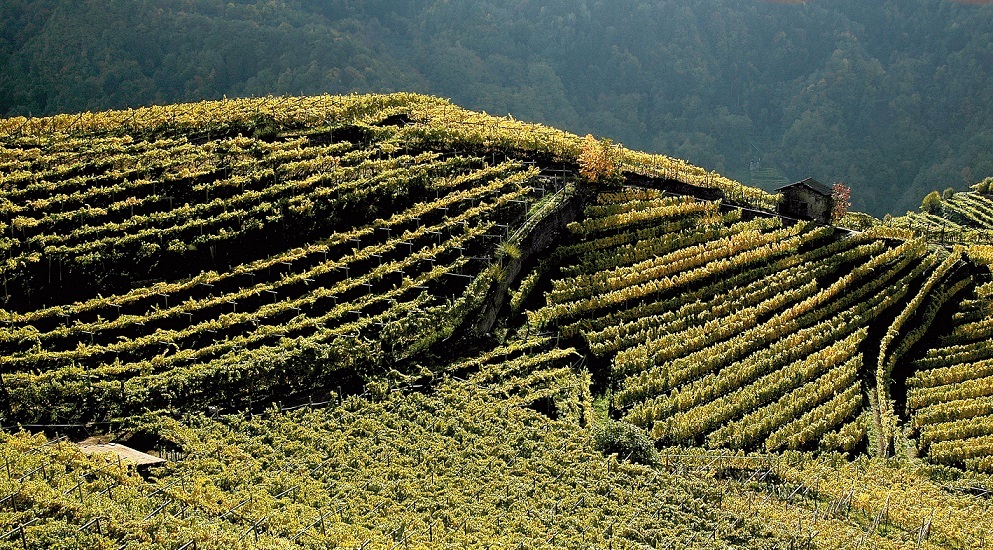 Banca della Terra: anche il Trentino avvia il ripristino dei terreni incolti e abbandonati