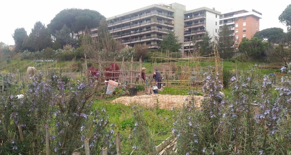 Ortincomune, una rete cittadina per la rigenerazione urbana