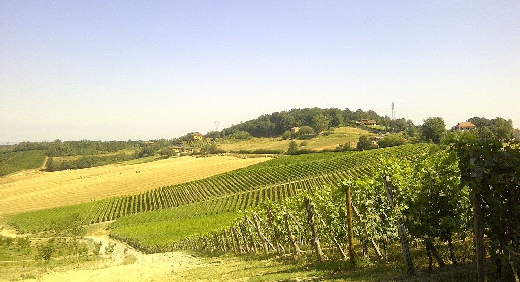 Serve aiuto per portare avanti questo progetto agricolo!