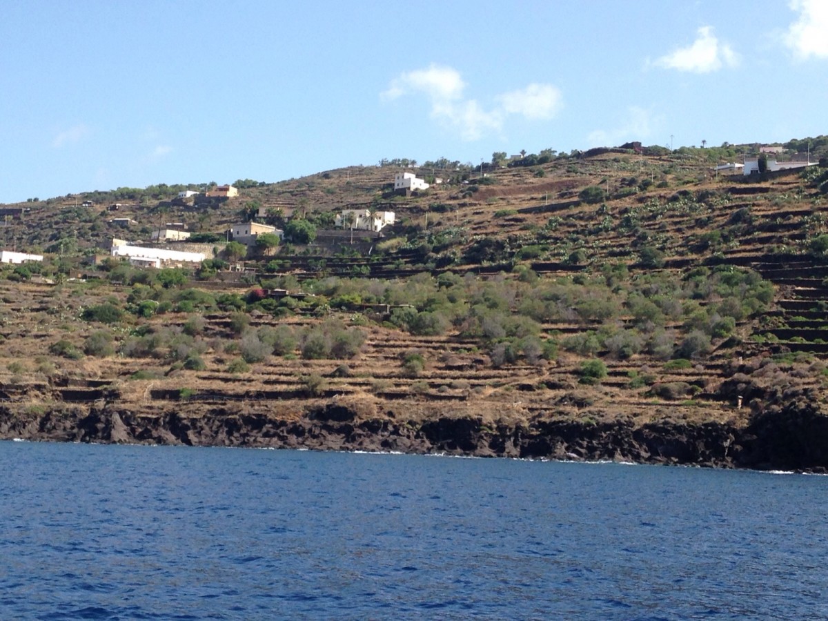 Pantelleria: diecimila alberi per la rinascita dell'isola