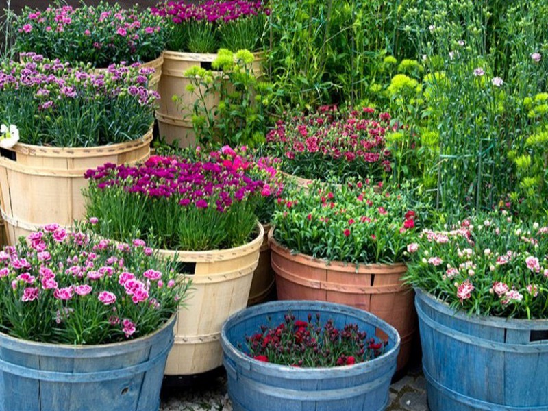floracult