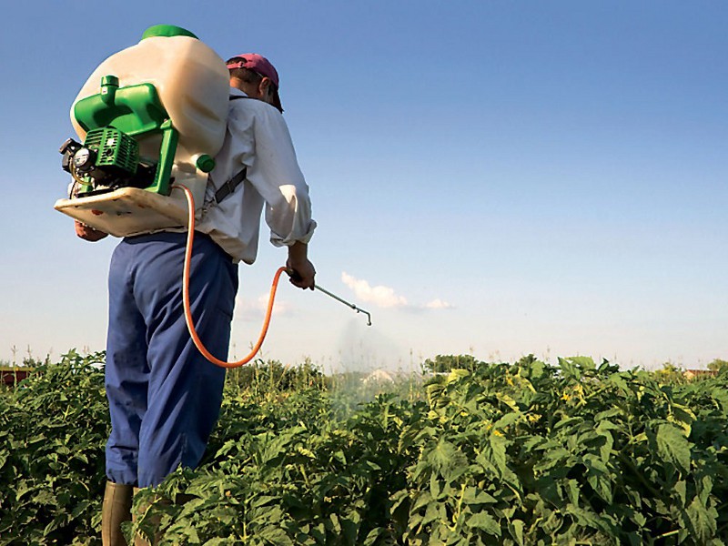 Onu: “I pesticidi sono inutili e uccidono 200.000 persone ogni anno”