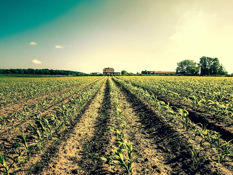 Politica agricola europea: i cittadini chiedono una riforma profonda