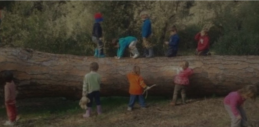 Asilo nel Bosco di Bologna: imparare in libertà nella natura
