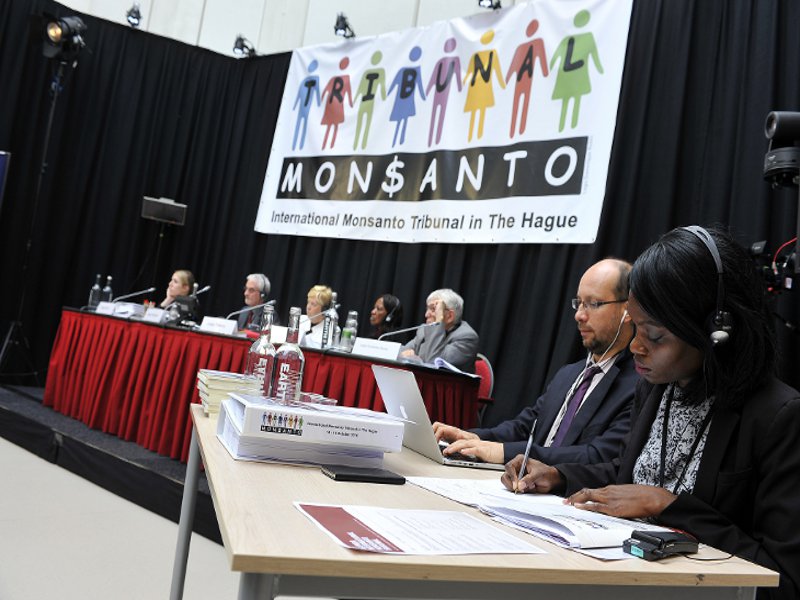 Monsanto è colpevole di crimini contro l'umanità e l'ambiente