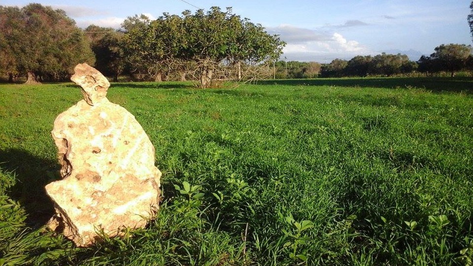 In Salento nasce il Manifesto per l'Agricoltura Naturale