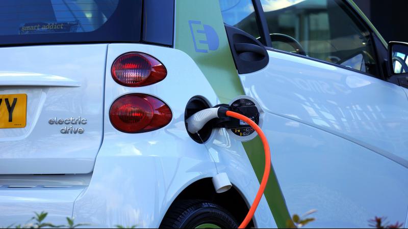 Al via la sesta edizione di Image, incontri sul Management della Green Economy