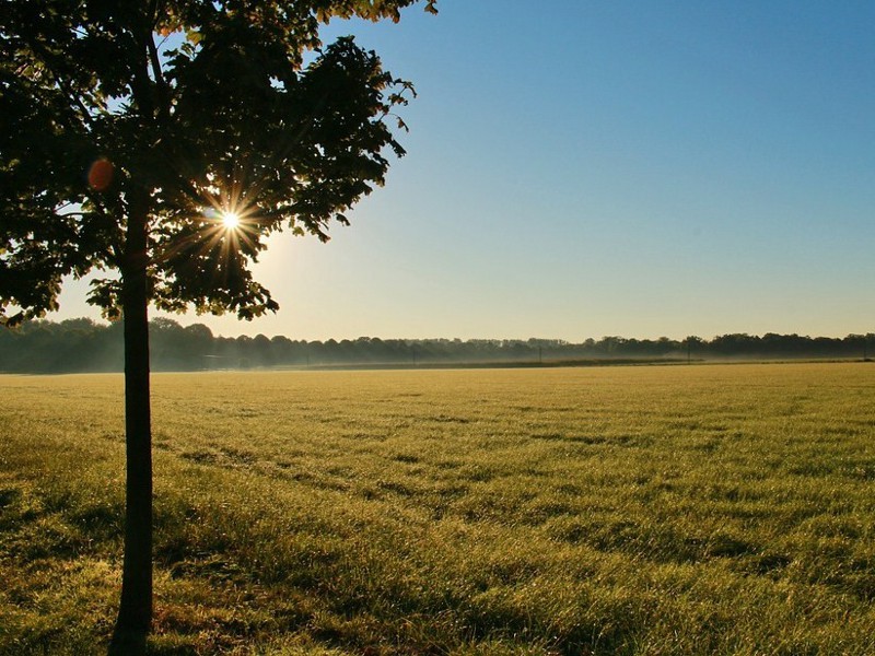 land-1004856_960_720