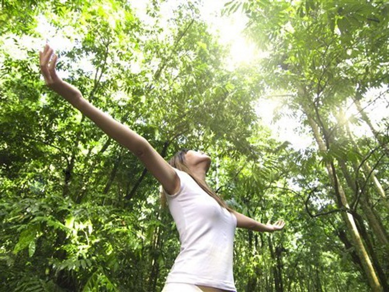 Un weekend olistico nelle foreste casentinesi