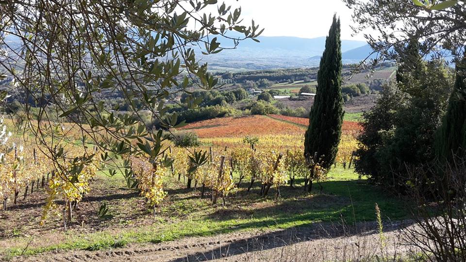 Terre ai giovani: una nuova proposta dalla Campania