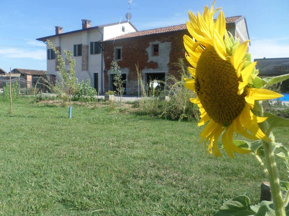Il bed and breakfast Il Girasole, aperto da Stefania Rossini