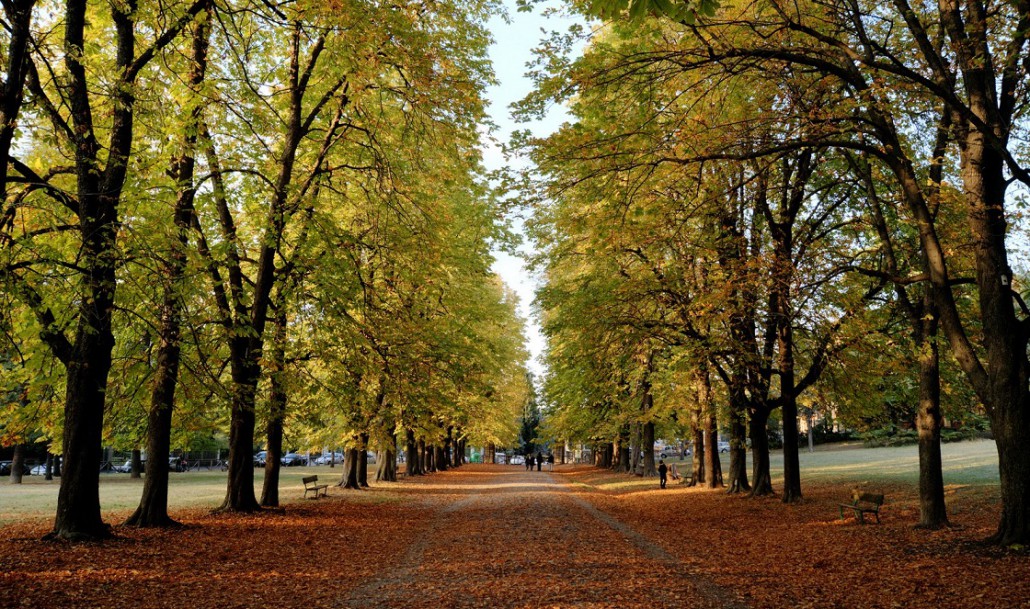 Parco Talon: a rischio uno dei polmoni verdi di Bologna