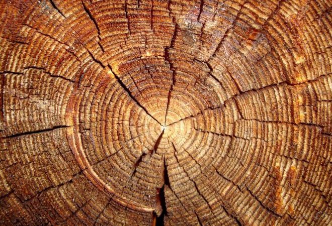 tradizione innovazione visioni futuro sostenibile