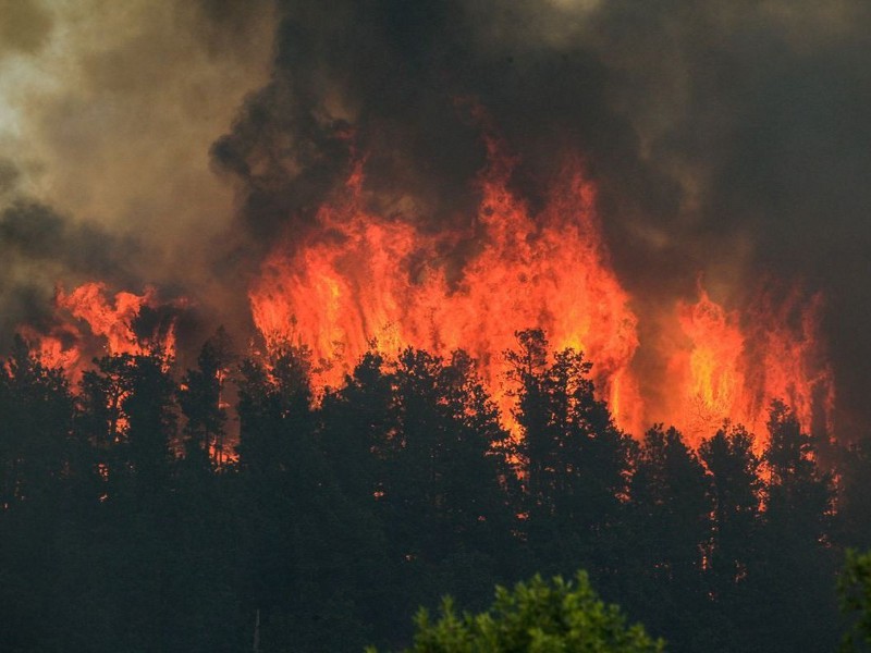 Incendi: in fumo oltre 75mila ettari