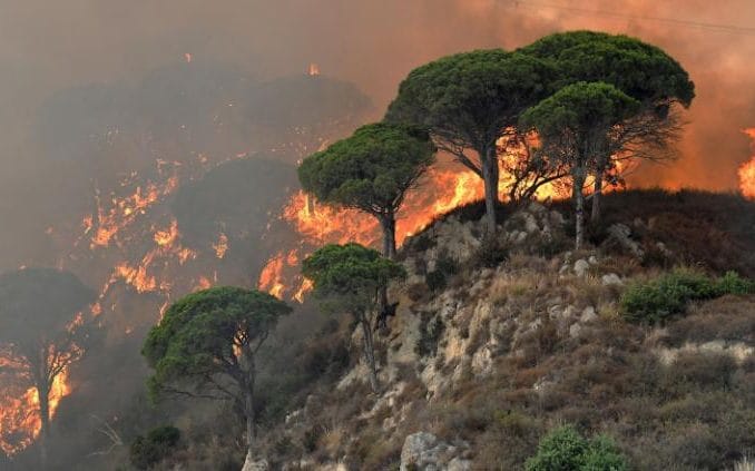 L'Italia brucia: i contadini le prime vittime degli incendi