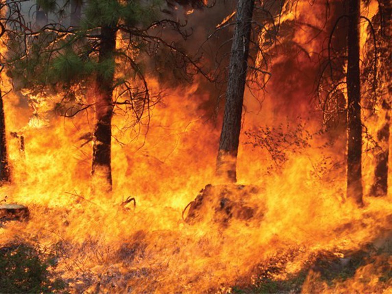 fire-spreading