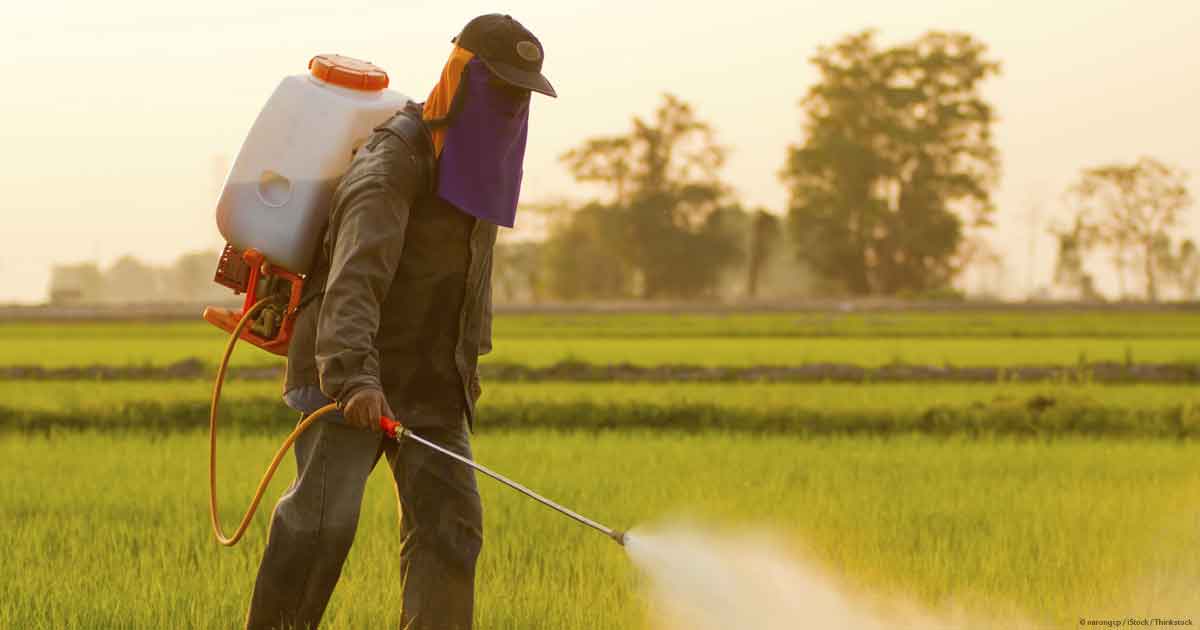 Glifosato: consegnate 1 milione e 300 mila firme per chiederne il bando