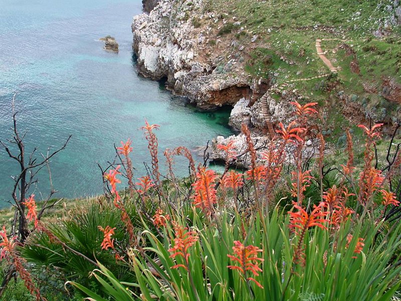 La Riserva dello Zingaro, un angolo di paradiso salvato dal cemento