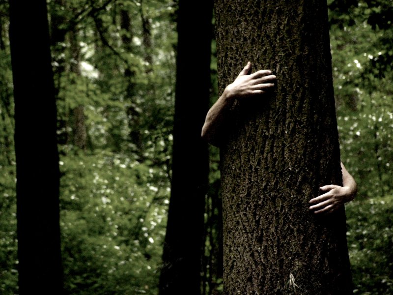 tree_hug_by_exoticman