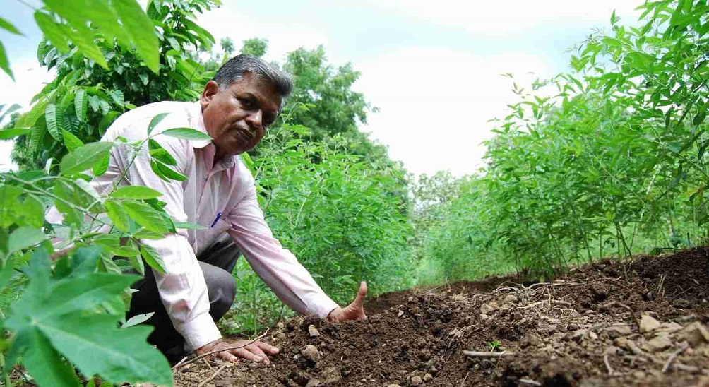 Monsanto in India: debiti, povertà e suicidi fra gli agricoltori