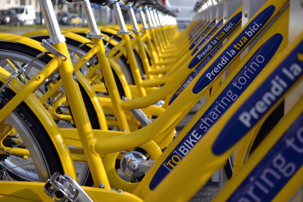 torino-nuova-amsterdam-mobilita-sostenibile-1501168027