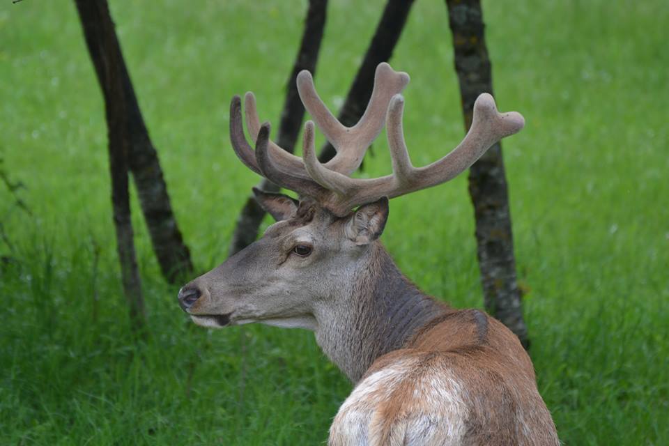 Foto di Maria Felicia Coppola