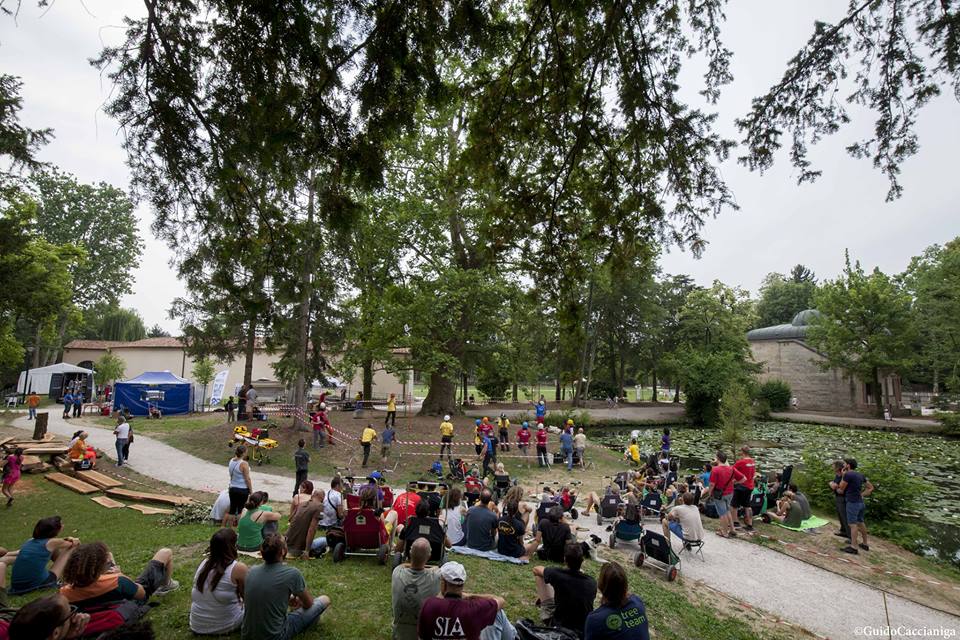 A tu per tu con gli alberi: la Società Italiana di Arboricoltura