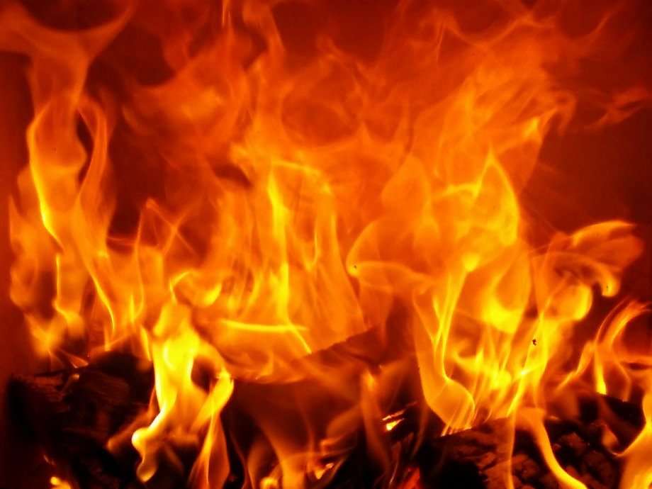 Dopo gli incendi, che fare?